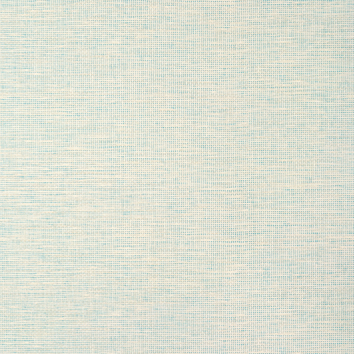 Spiro Wallpaper by Thibaut in Robin's Egg (T14565)