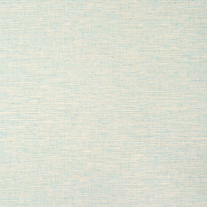 Spiro Wallpaper by Thibaut in Robin's Egg (T14565)