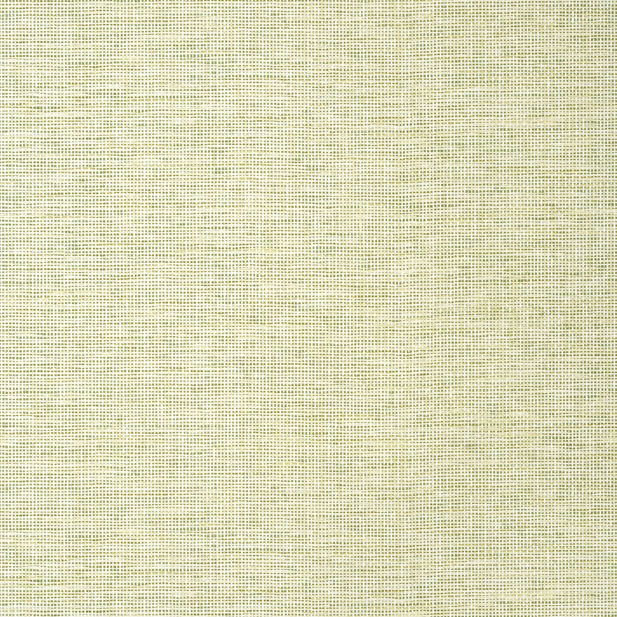 Spiro Wallpaper by Thibaut in Spring (T14585)