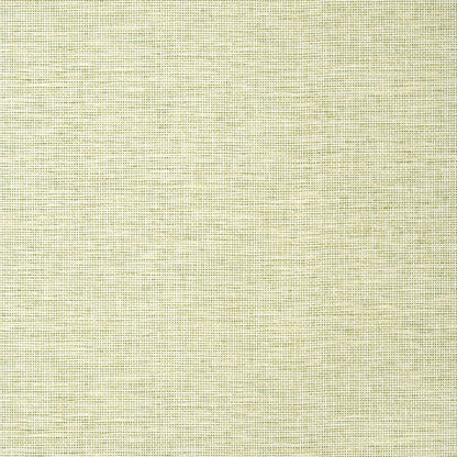 Spiro Wallpaper by Thibaut in Spring (T14585)
