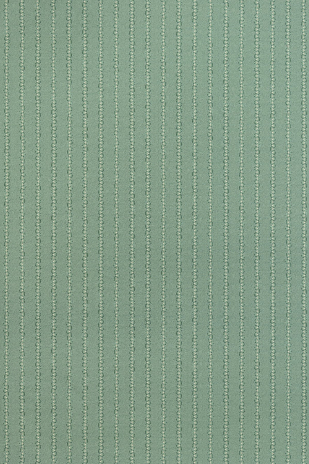 Squeak Wallpaper by Jean Monro in Shark