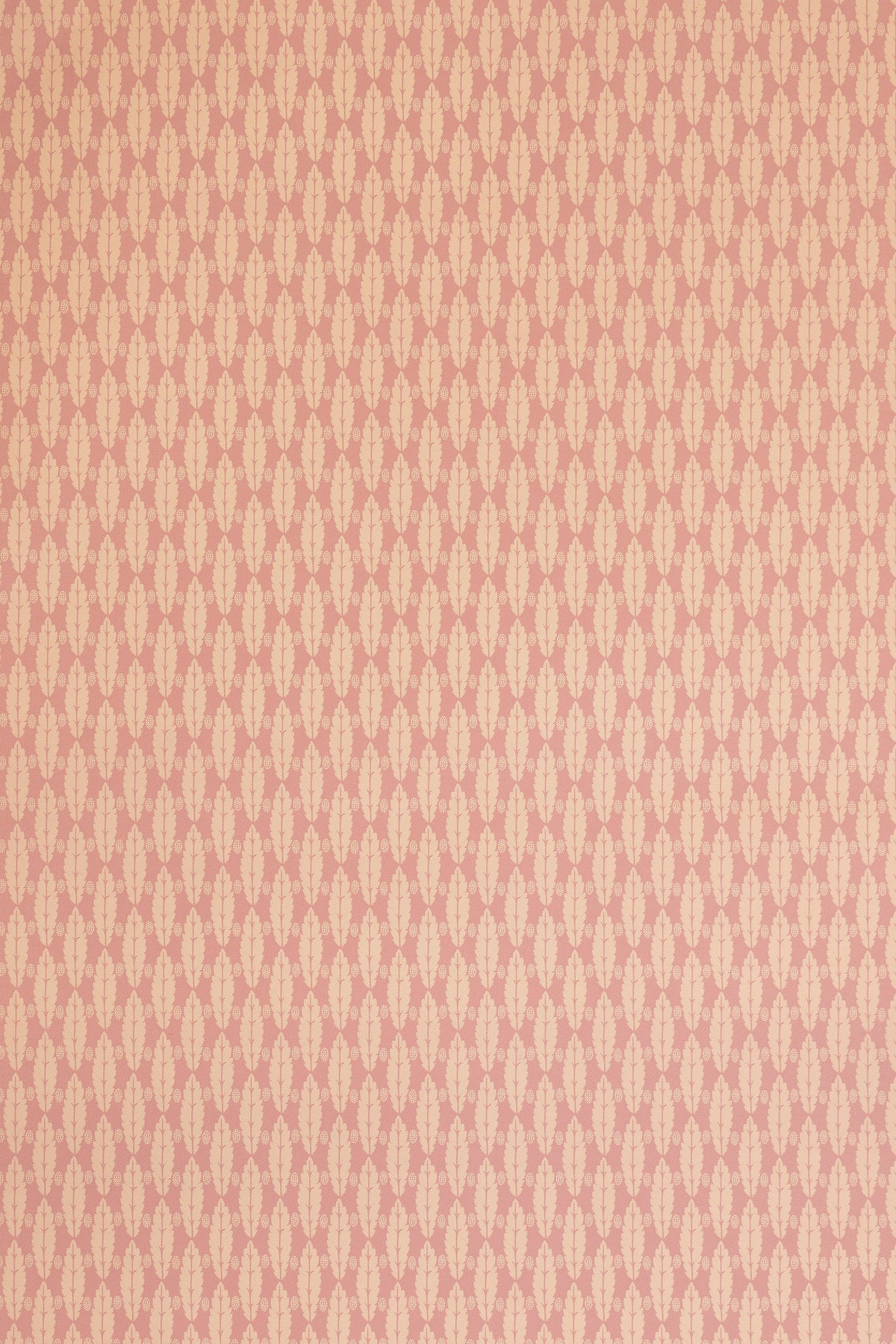 Squirrel Leaf Wallpaper by Jean Monro in Helio