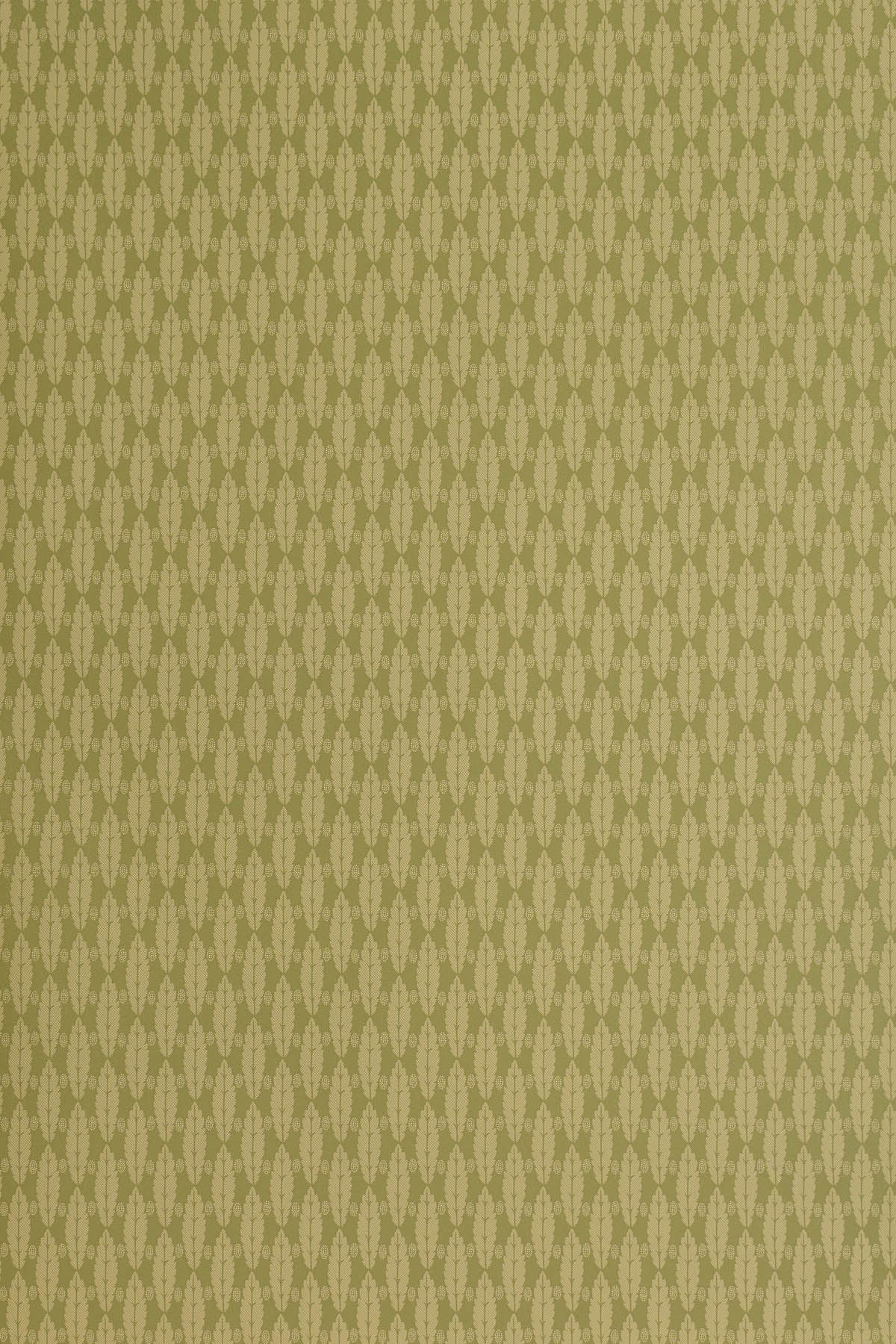 Squirrel Leaf Wallpaper by Jean Monro in Olive