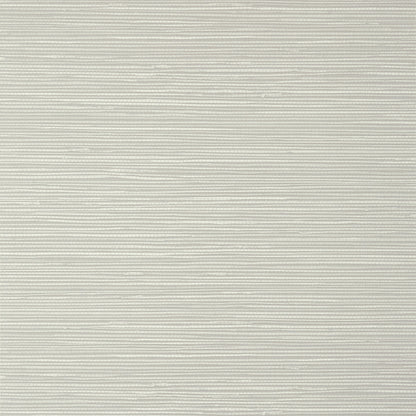 St. Thomas Wallpaper by Thibaut in Grey (T13336)