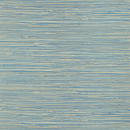 St. Thomas Wallpaper by Thibaut in Blue (T13337)