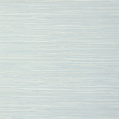 St. Thomas Wallpaper by Thibaut in Spa Blue (T13338)