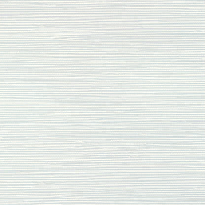 St. Thomas Wallpaper by Thibaut in Mist (T13339)