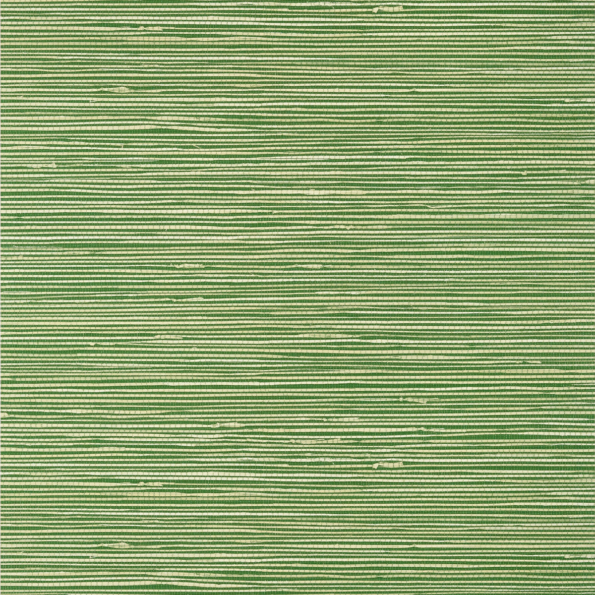 St. Thomas Wallpaper by Thibaut in Emerald (T13340)
