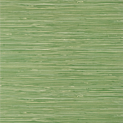 St. Thomas Wallpaper by Thibaut in Emerald (T13340)