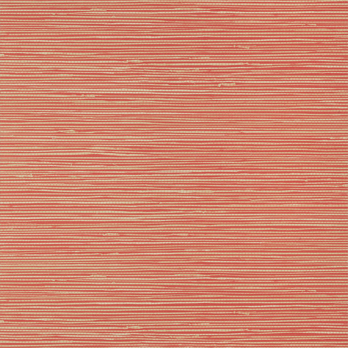 St. Thomas Wallpaper by Thibaut in Coral (T13345)