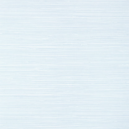St. Thomas Wallpaper by Thibaut in Ice (T13348)