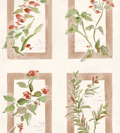 Sta Cruz Wallpaper by Coordonne Rosado