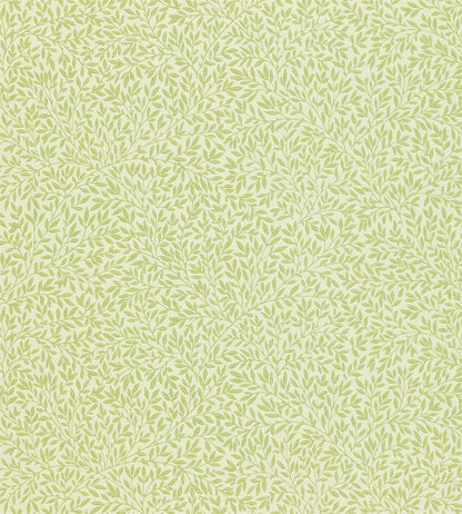 Standen Wallpaper by Morris & Co Fennel