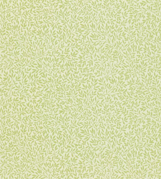 Standen Wallpaper by Morris & Co Fennel
