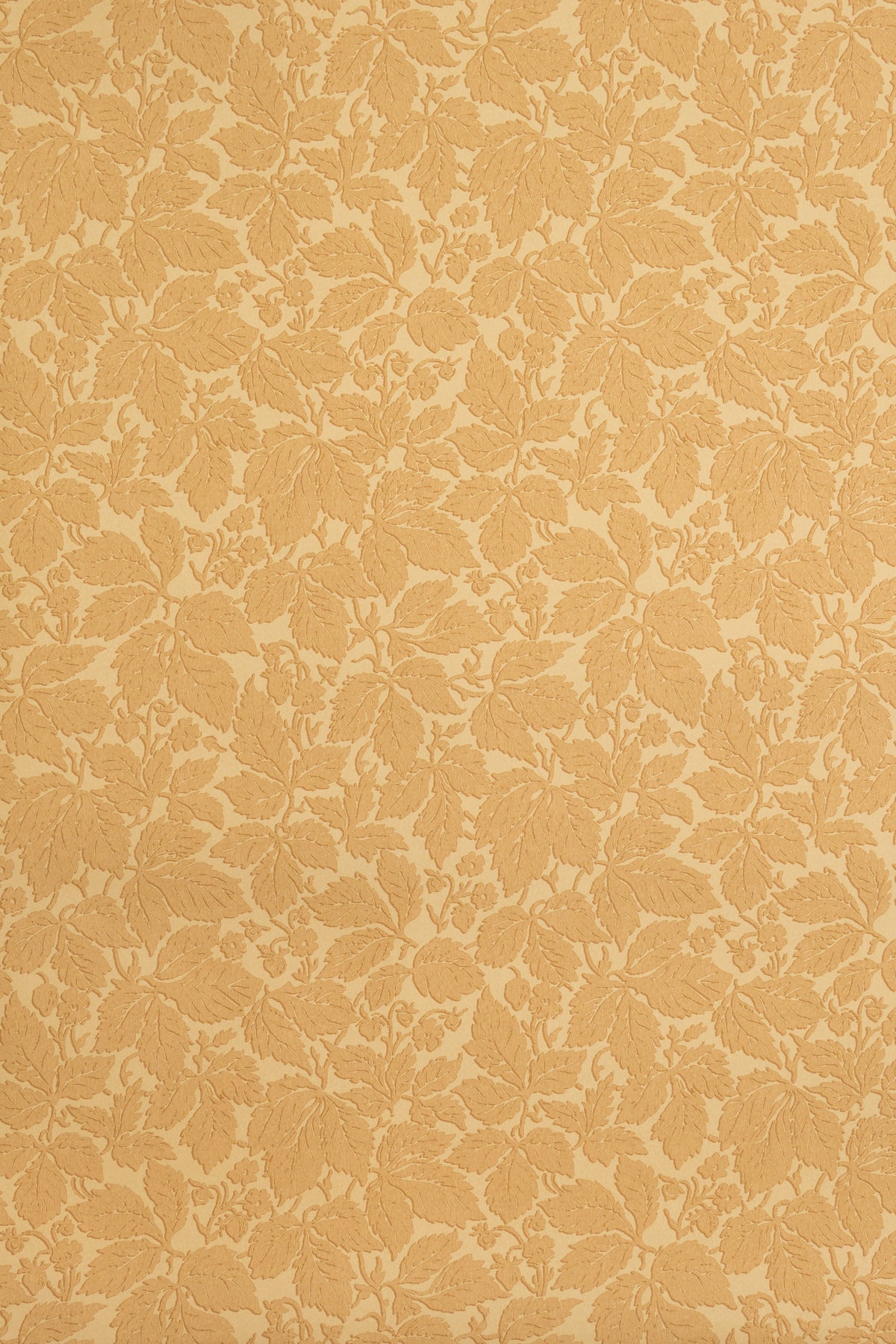 Strawberry Wood Wallpaper by Jean Monro in Dulce