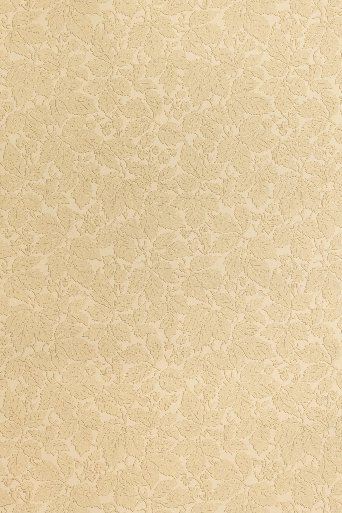 Strawberry Wood Wallpaper by Jean Monro in Elephant