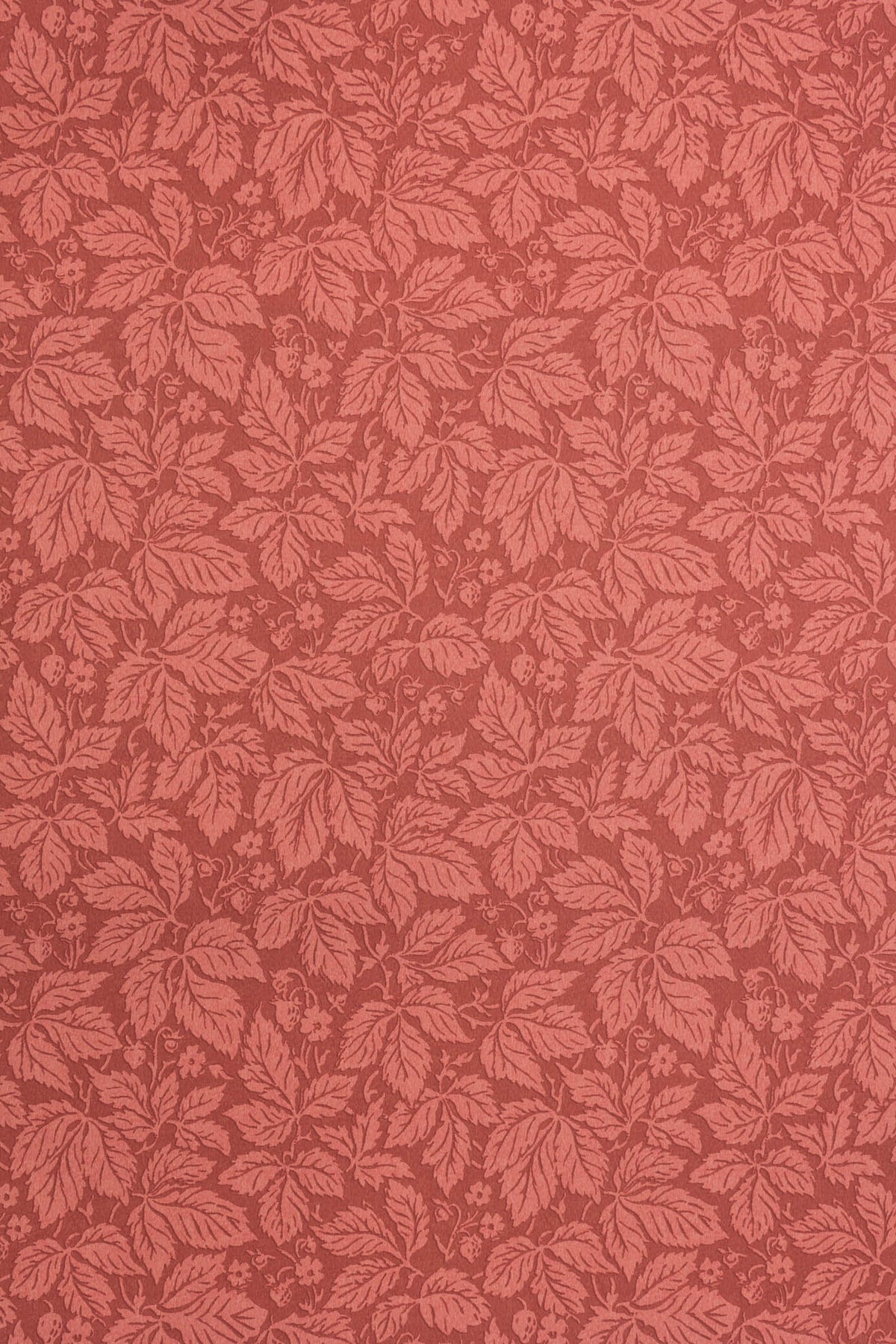 Strawberry Wood Wallpaper by Jean Monro in Jam