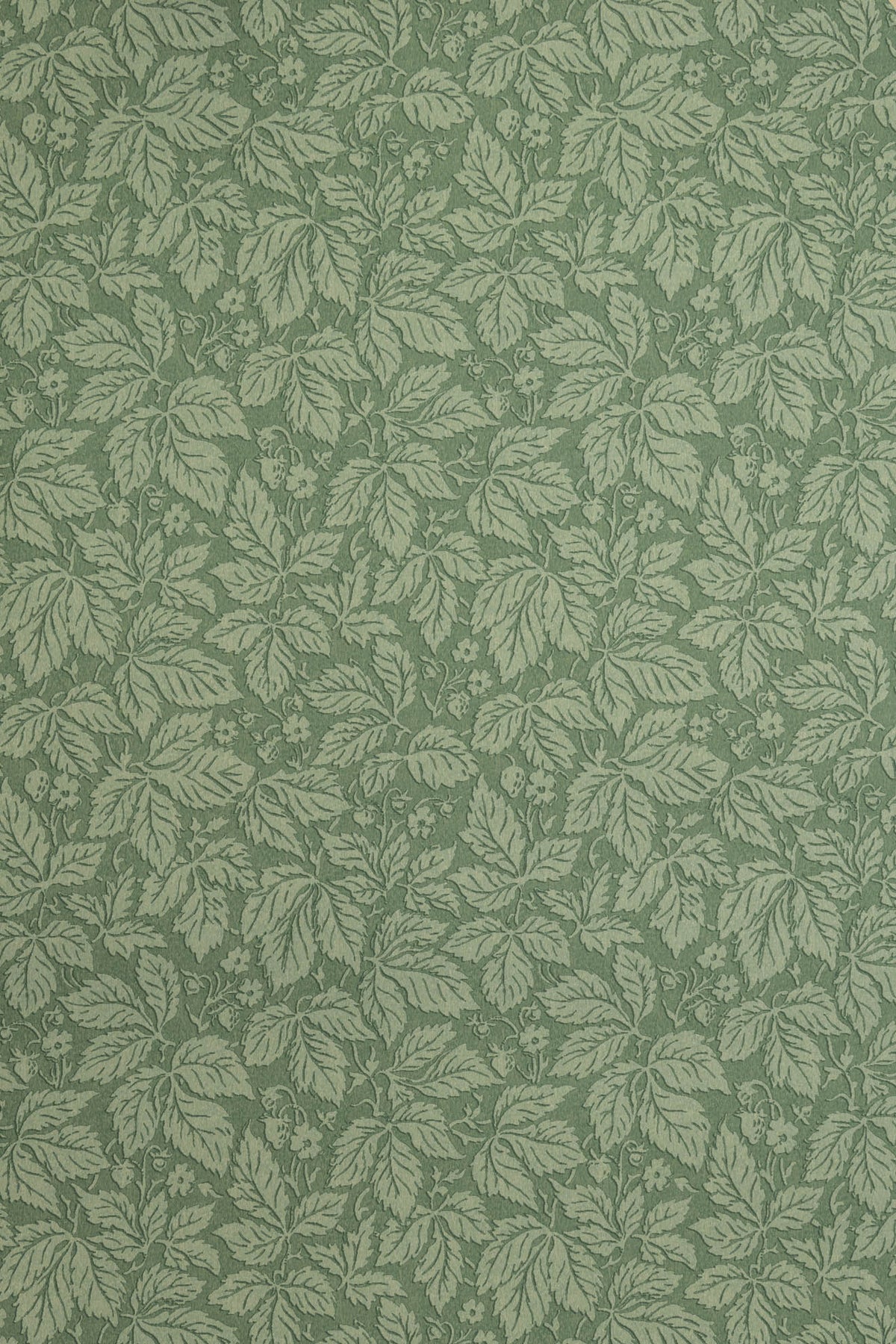 Strawberry Wood Wallpaper by Jean Monro in Mallard