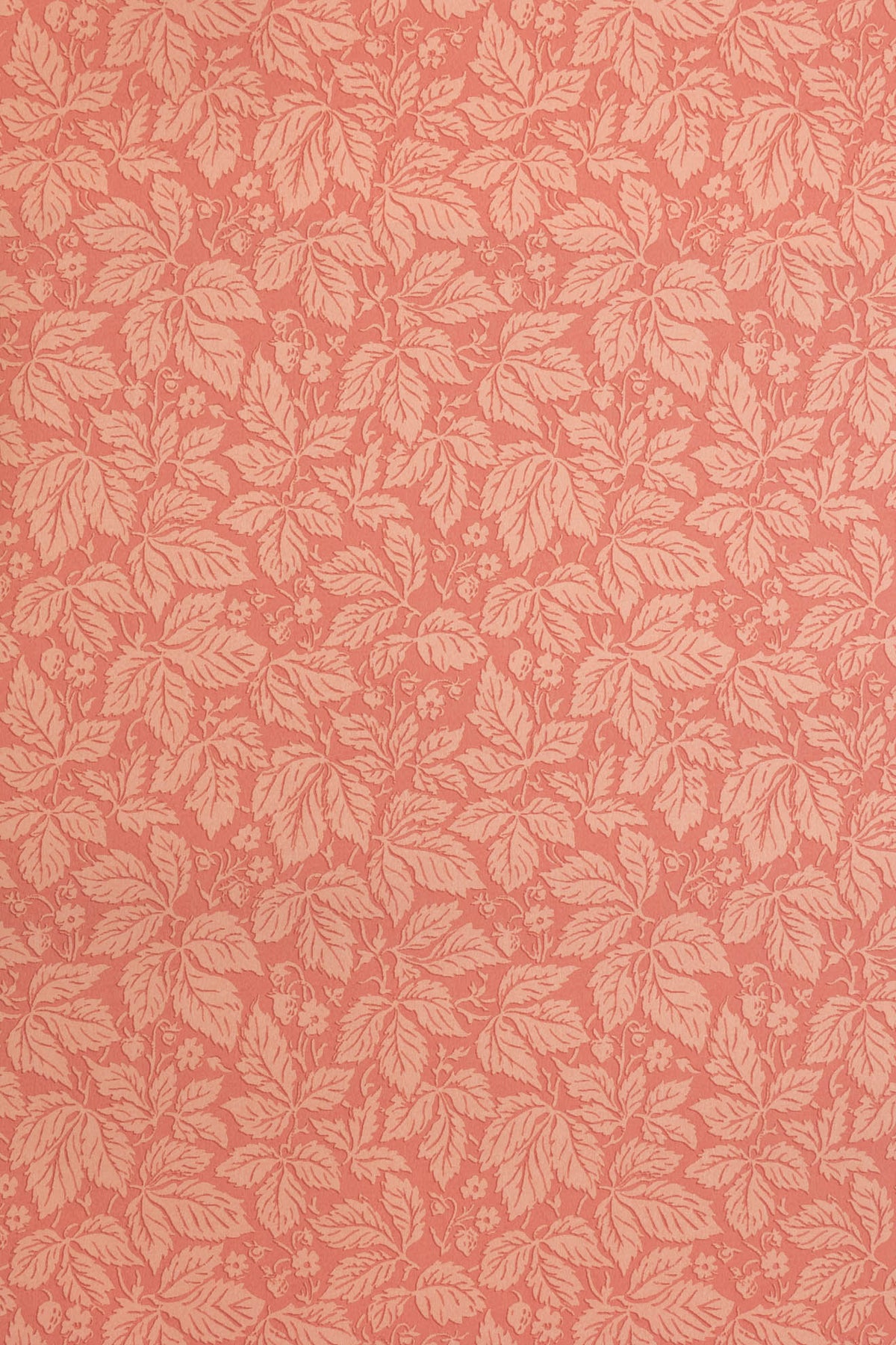 Strawberry Wood Wallpaper by Jean Monro in Rose