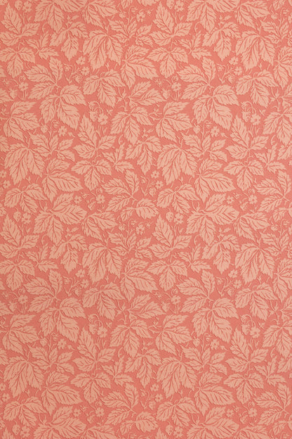 Strawberry Wood Wallpaper by Jean Monro in Rose