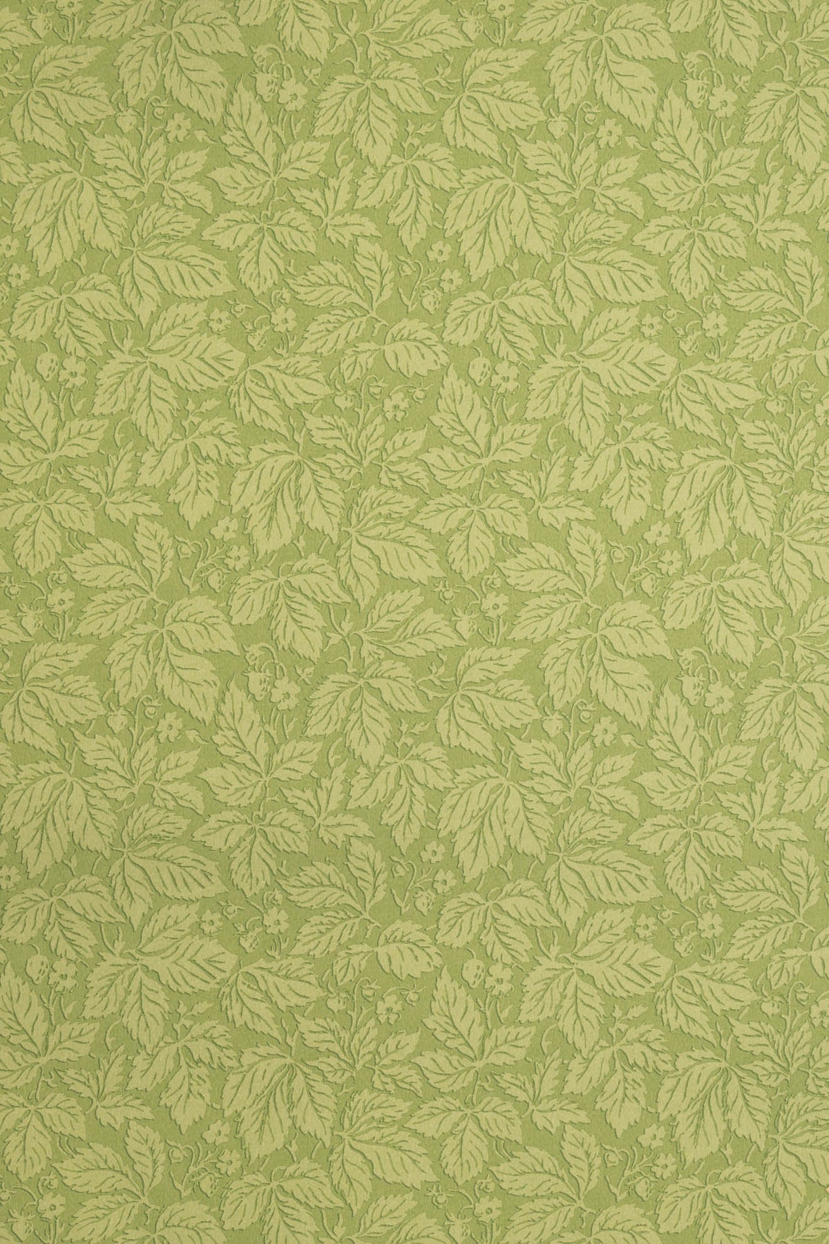 Strawberry Wood Wallpaper by Jean Monro in Spring