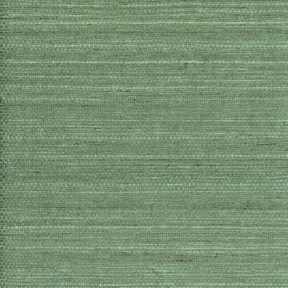 TRH51000 Wallpaper