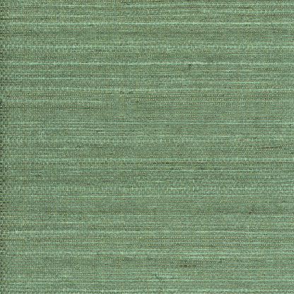 TRH51000 Wallpaper