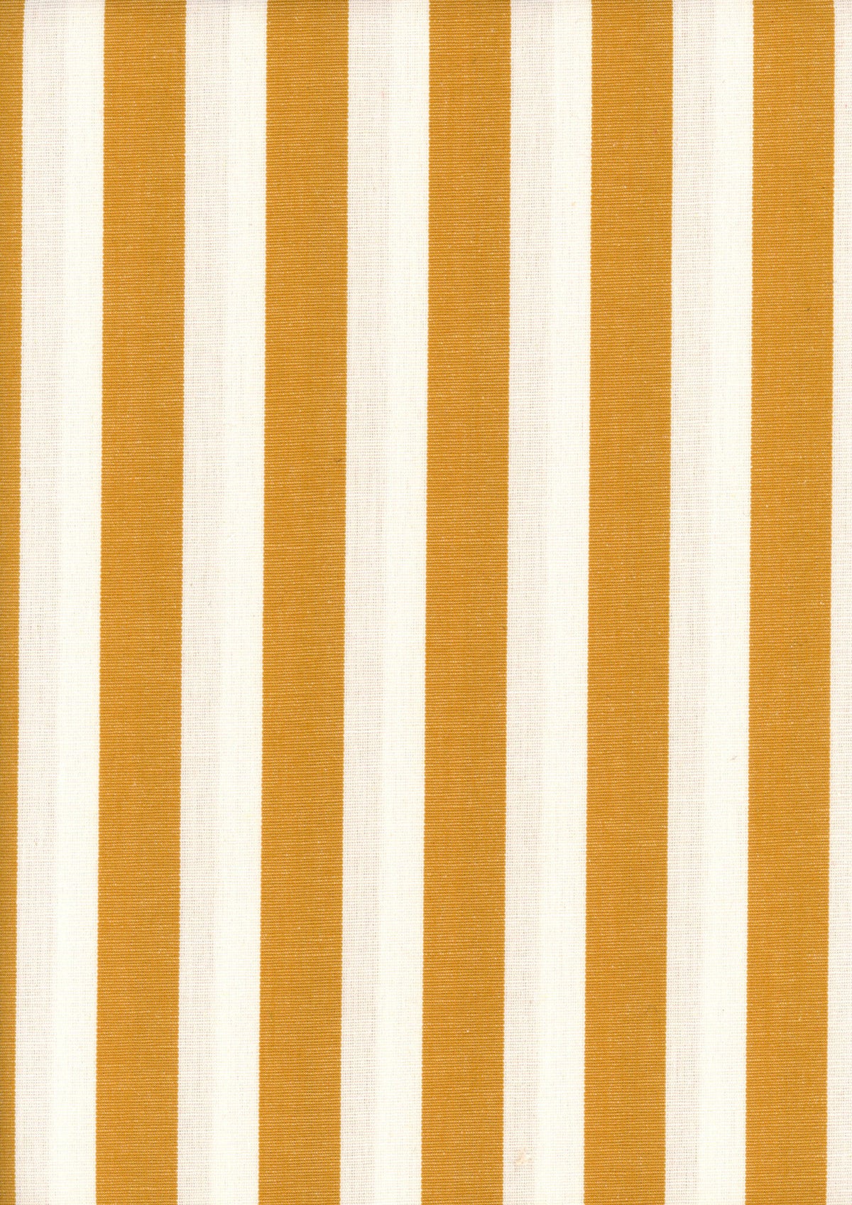 Stripes fabric by Coordonné in Curry, flat pattern view