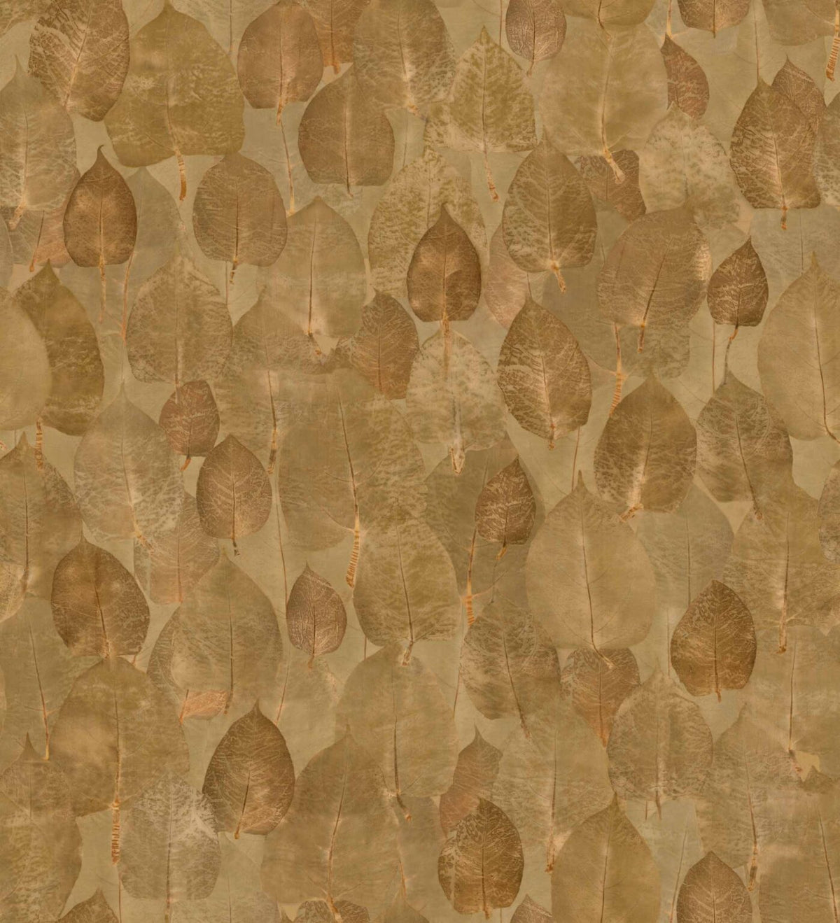 Suman wallpaper by Coordonné in Curry, flat pattern view