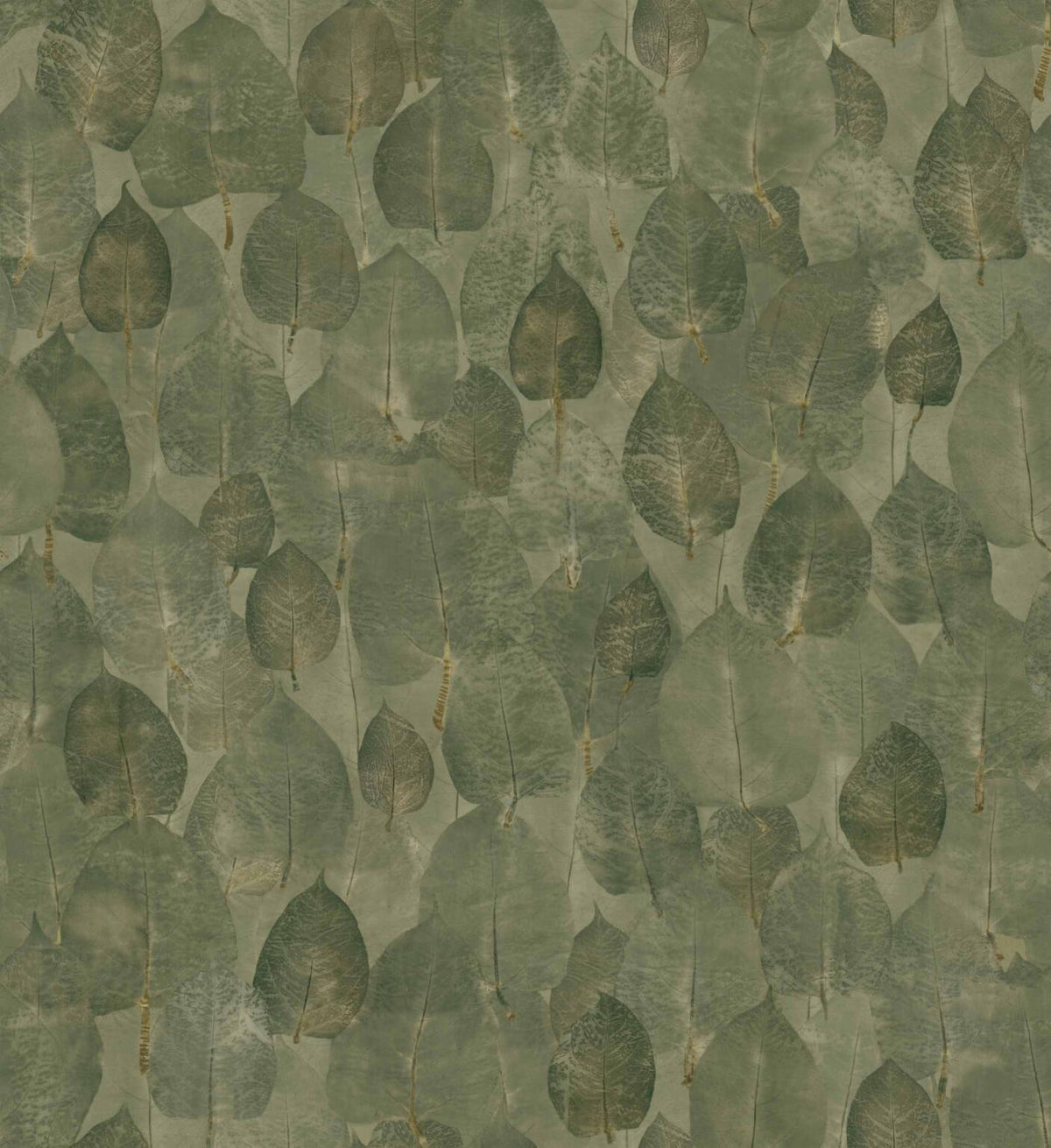 Suman wallpaper by Coordonné in Pistachio, flat pattern view
