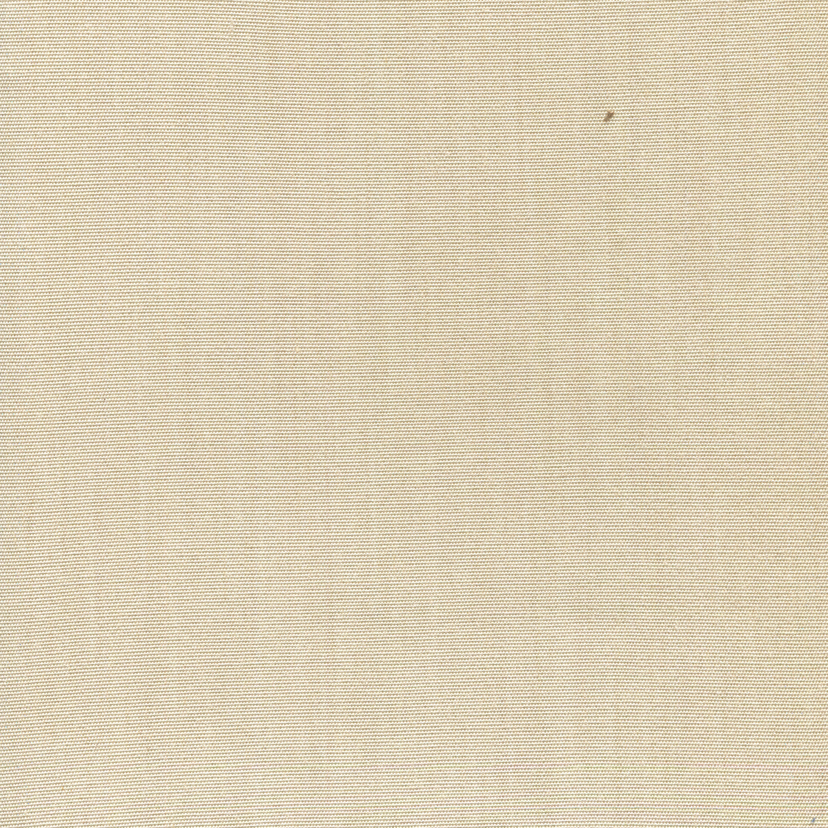 Suncloth Tinted Creme fabric by China Seas