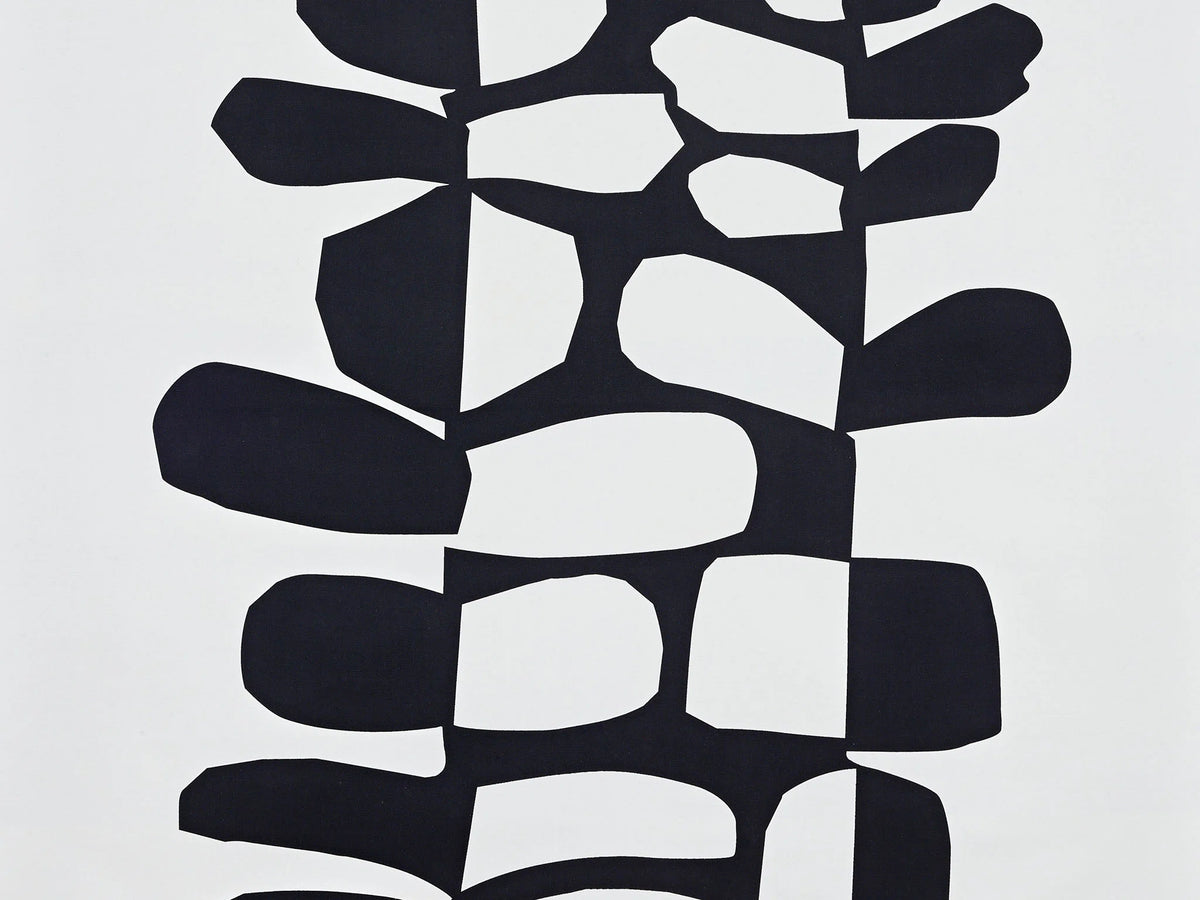 Surprise Fabric by Pierre Frey in Noiretblanc (F3485001)