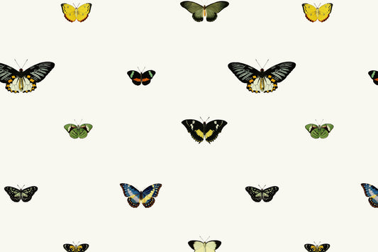 Suzy Neutral wallpaper by Hovia