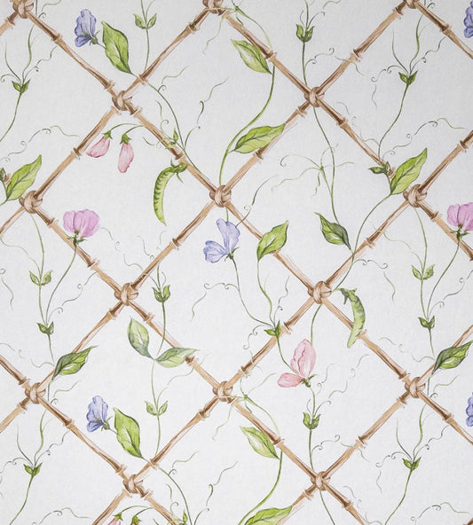 Sweet Peas on Bamboo Trellis Wallpaper by Alice Crawley Pink/Purple