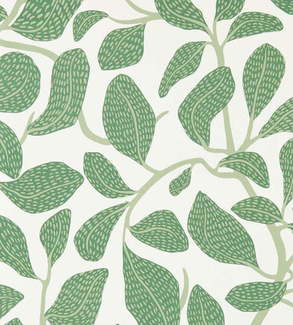 Sweet Bay Wallpaper by Scion Forest