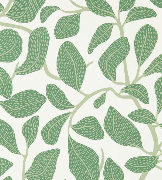 Sweet Bay Wallpaper by Scion Forest