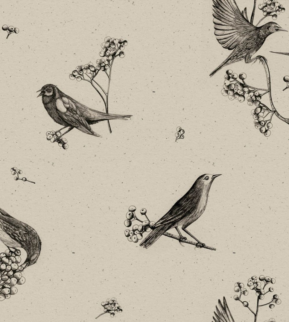Sweet Birds Wallpaper by Coordonne Black