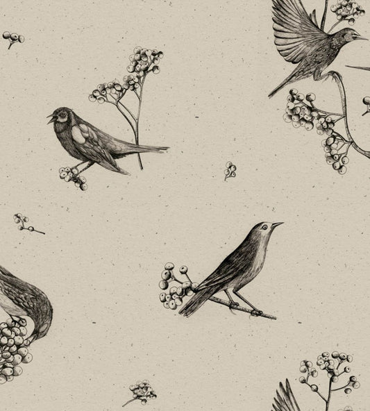 Sweet Birds Wallpaper by Coordonne Black