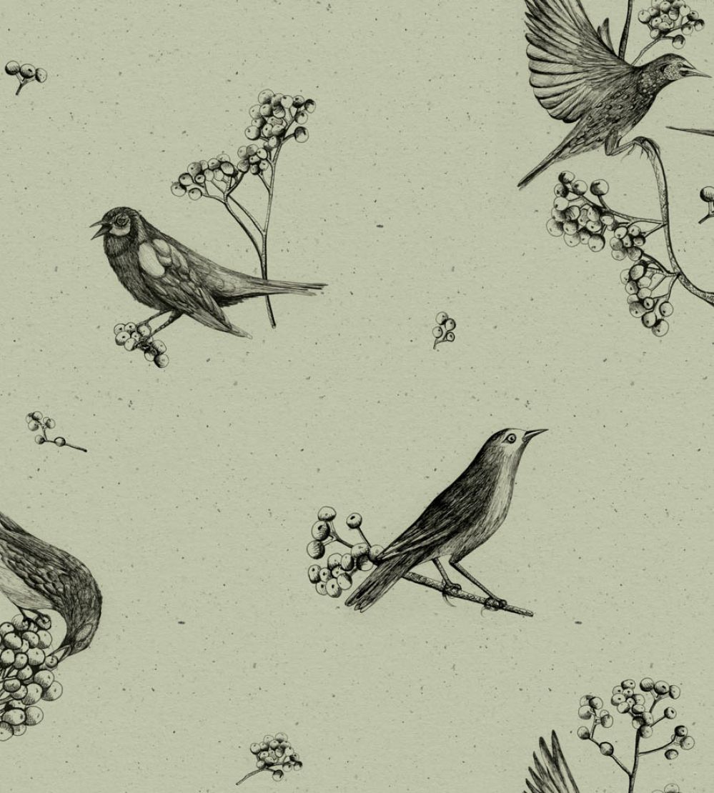 Sweet Birds Wallpaper by Coordonne Matcha