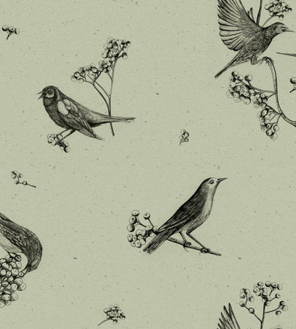Sweet Birds Wallpaper by Coordonne Matcha