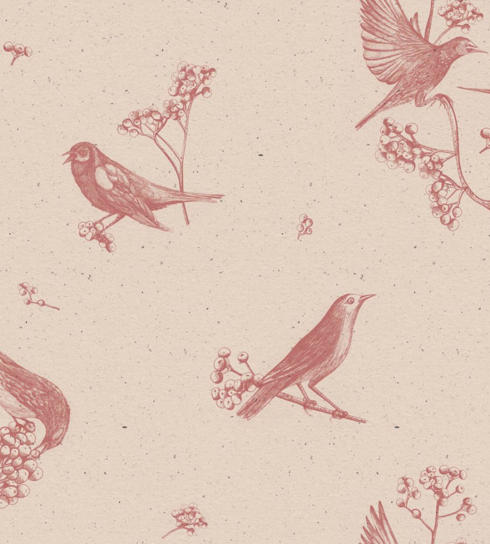 Sweet Birds Wallpaper by Coordonne Rose