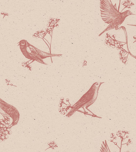 Sweet Birds Wallpaper by Coordonne Rose
