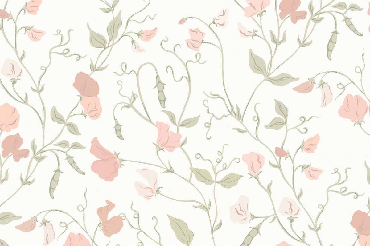 Sweet Pea Pink mural by Hovia