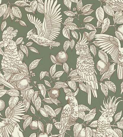 Talk About Cockatoos Wallpaper by Langelid Von Bromssen Sage Green