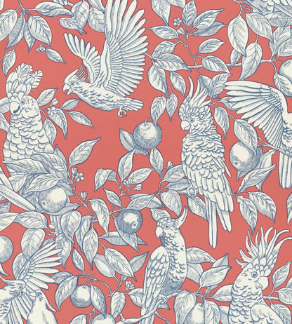 Talk About Cockatoos Wallpaper by Langelid Von Bromssen Tomato