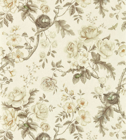 Tansy Bloom Wallpaper by Sanderson Oyster