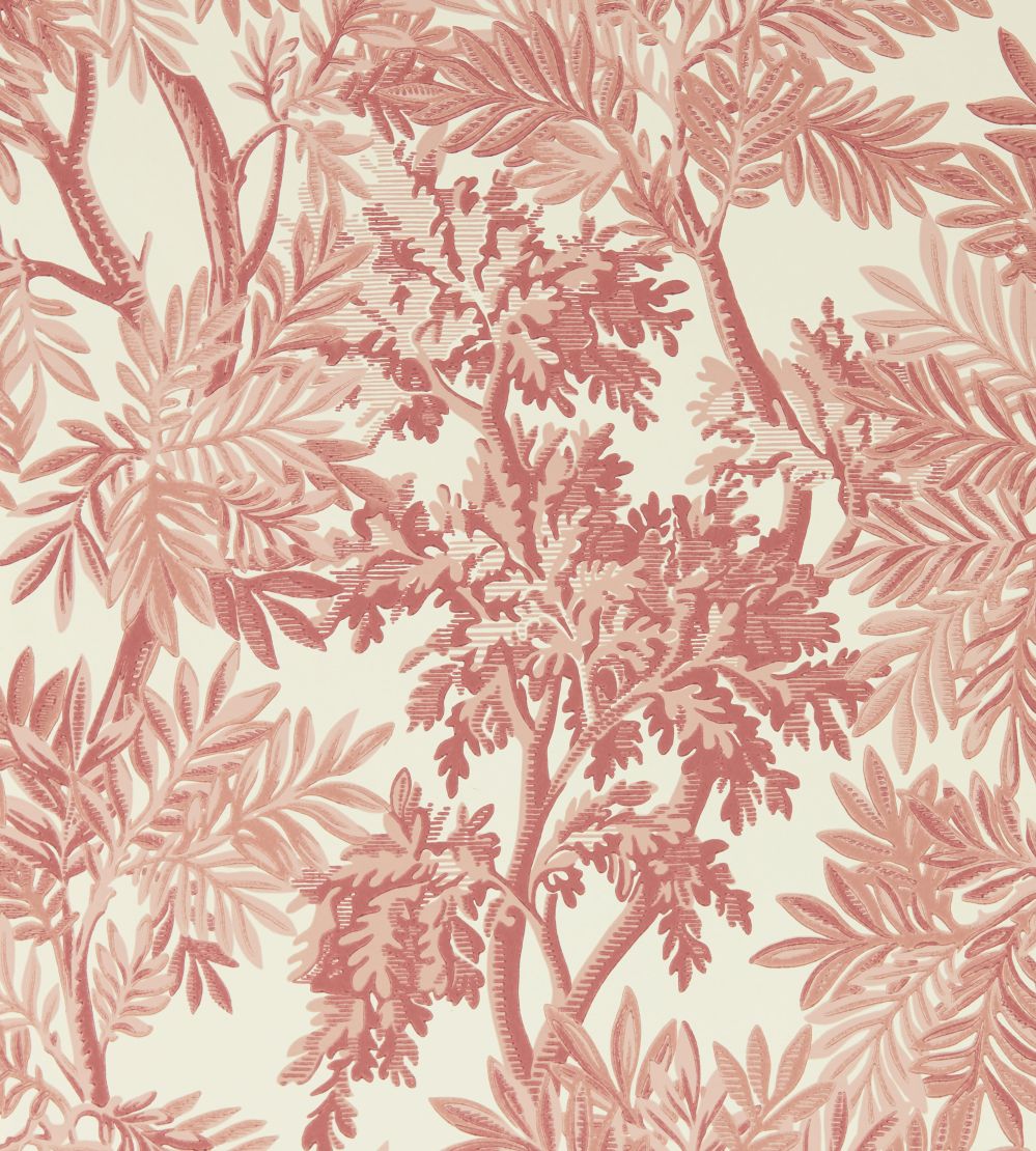 Tapestry Trees Wallpaper by Sanderson Berry/Pink Clay