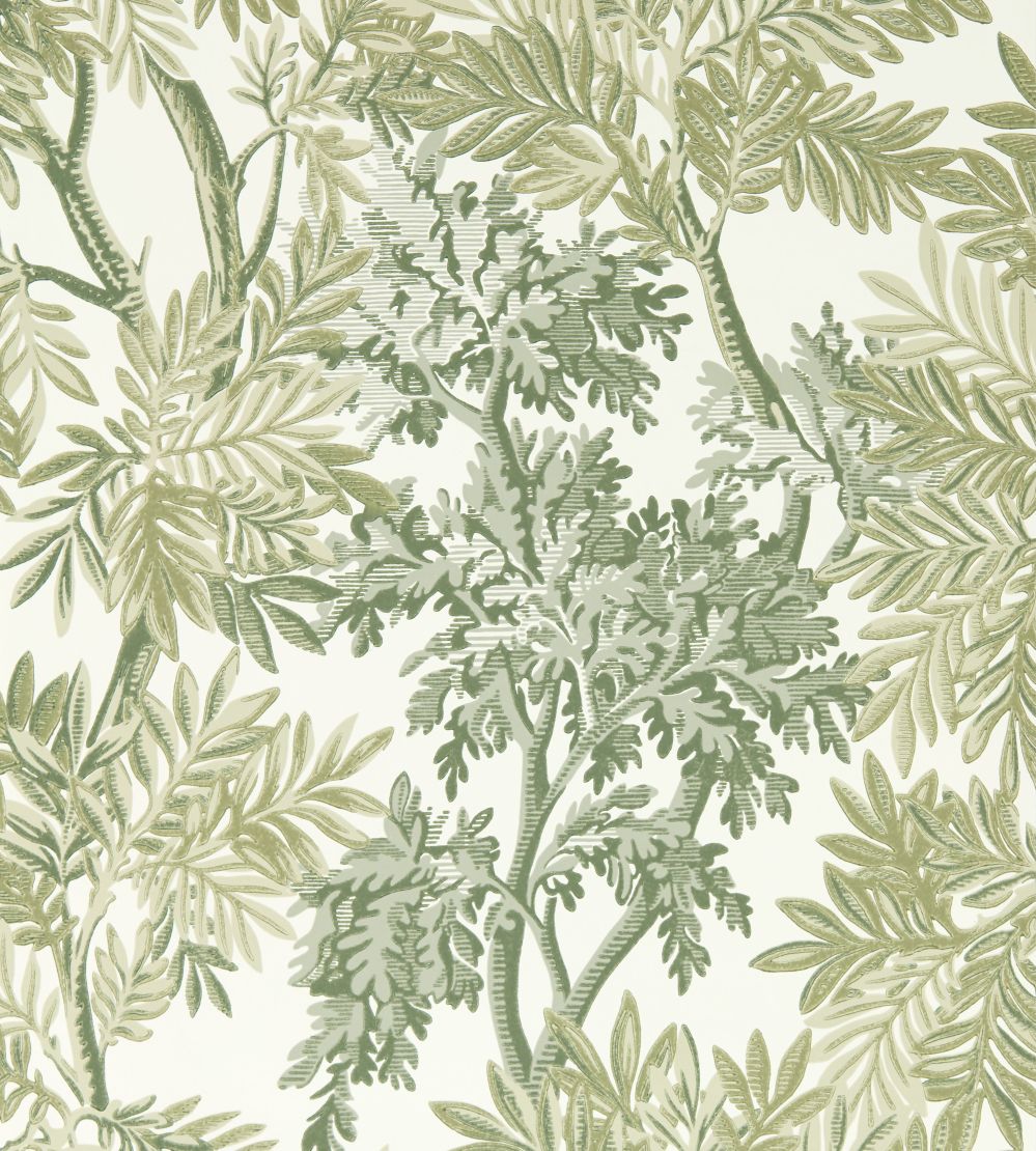 Tapestry Trees Wallpaper by Sanderson Forest/Willow