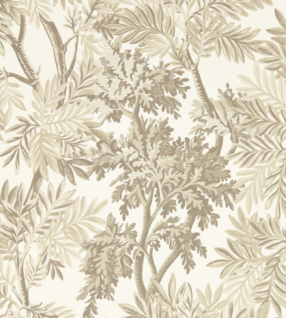 Tapestry Trees Wallpaper by Sanderson Raw Chocolate/Slip