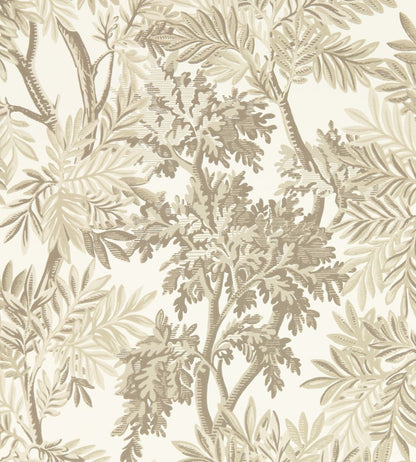 Tapestry Trees Wallpaper by Sanderson Raw Chocolate/Slip